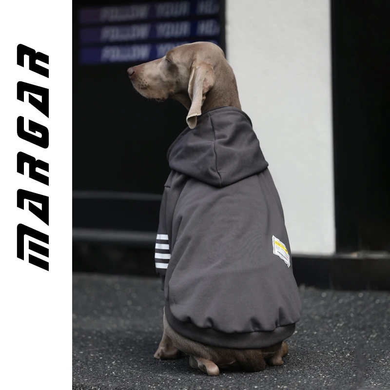 大型犬用秋冬セーター：防毛・おしゃれデザインで日常使いに最適な選択