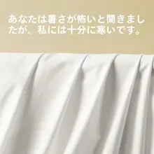 防水ベッドカバー【アイスシルク・防ダニ・シングルタイプ・防塵】