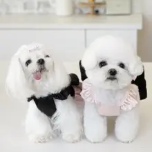 大きなリボンが魅力！飛袖デザインの短いドッグ用ドレス【プリンセススタイル・犬猫兼用】
