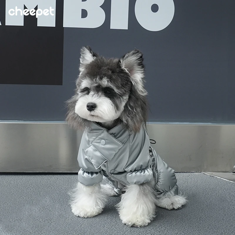犬のお散歩グッズをコスパ良く揃える方法｜失敗しない選び方の完全ガイド