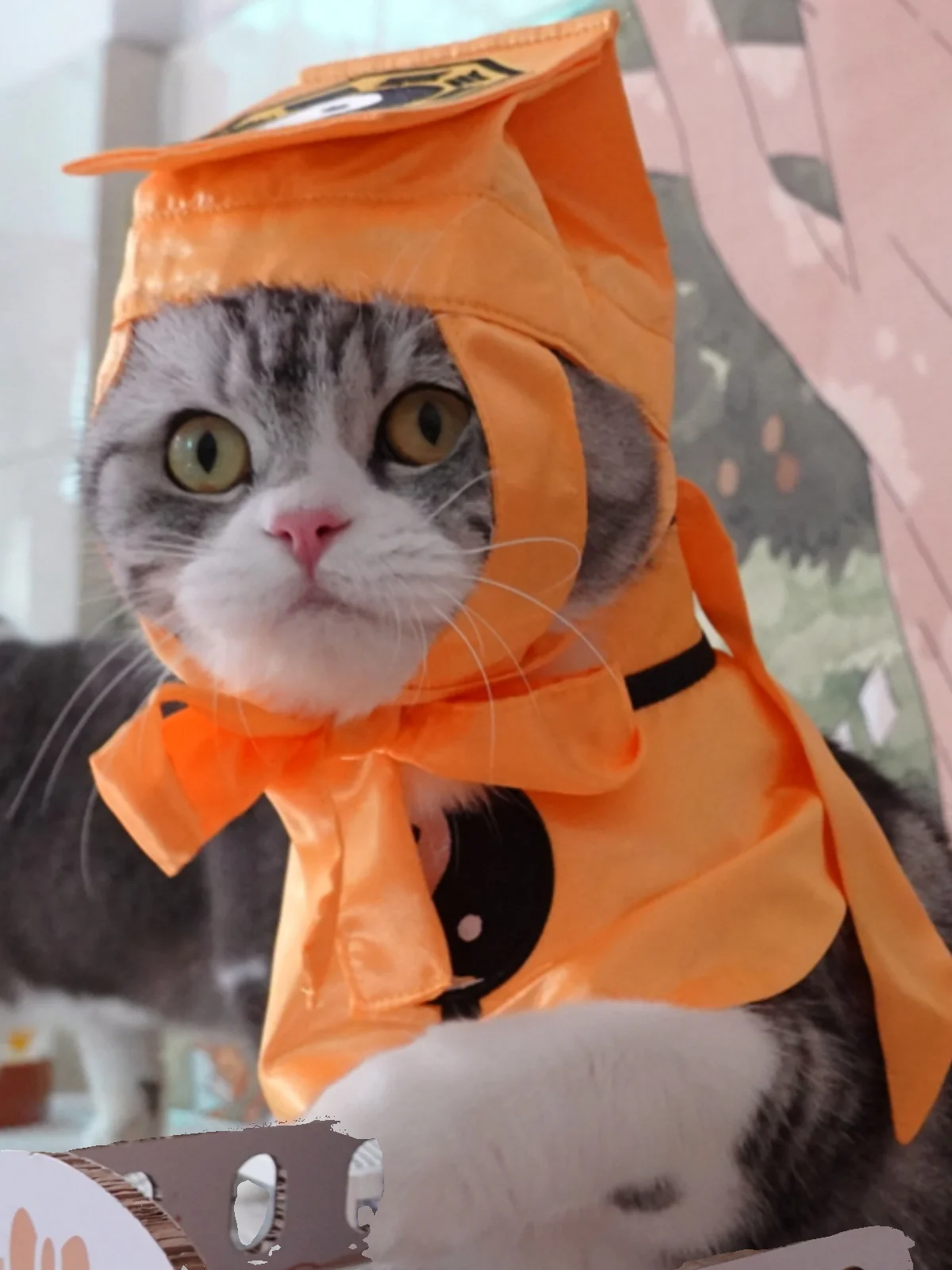 2026ハロウィンに猫の耳コスチュームを買うべきか？リアルな使い方とコストパフォーマンスを解説