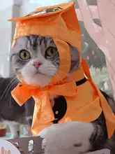 スタイ バンダナ 犬用 猫用 道士コスプレ おもしろ かわいい ハロウィン 撮影用 インスタ映え