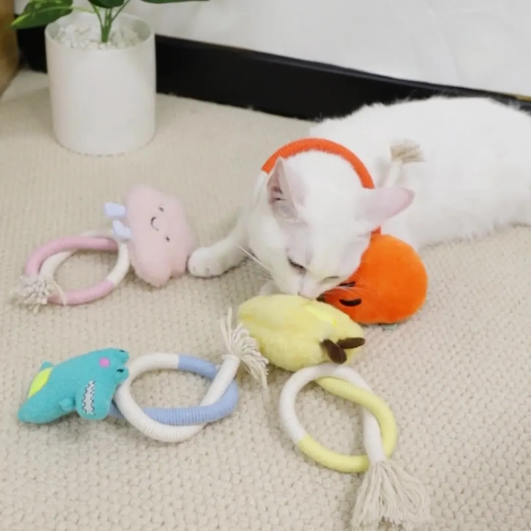 猫用噛むロープおもちゃ：手作り簡単な自遊びアイテムの実用性と効果