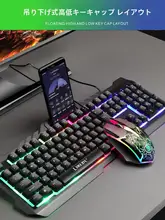 金属製有線キーボード＆マウス【透光・メカニカルタッチ・ゲーム＆オフィス用】（セットアップ対応）