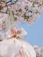 桃花刺繍のハンディバッグ【球形ランタンバッグ・春季用・オリジナルデザイン】
