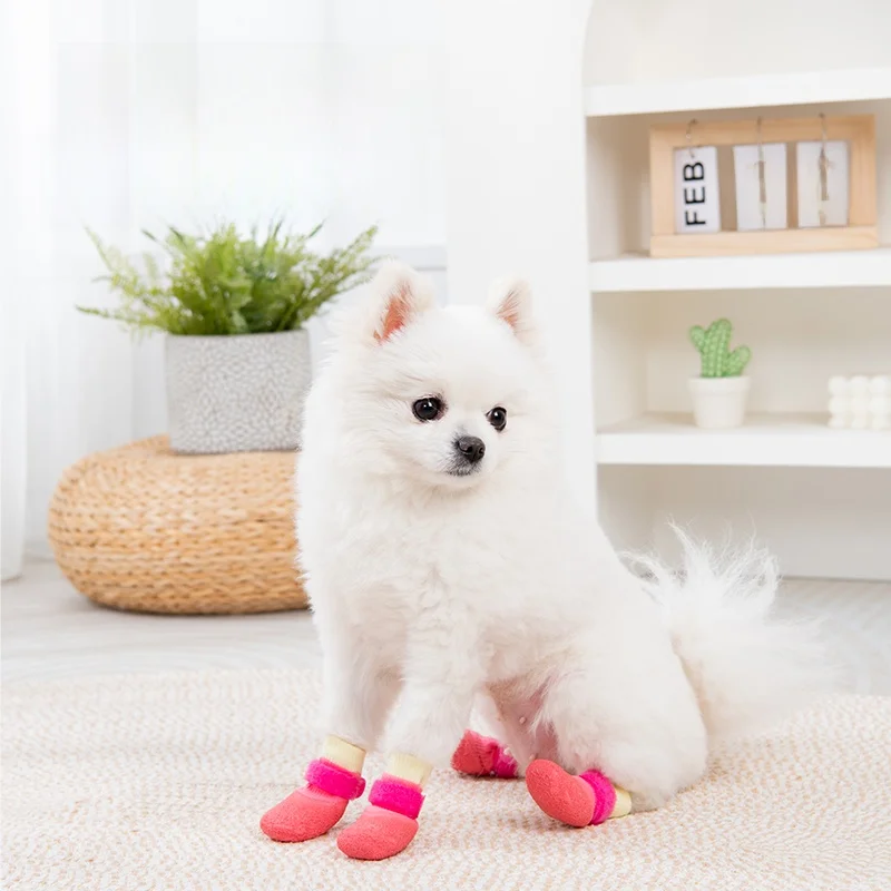 犬のアウトドアシューズを選ぶべき理由は？防災対策にも活用できる本当の価値とは