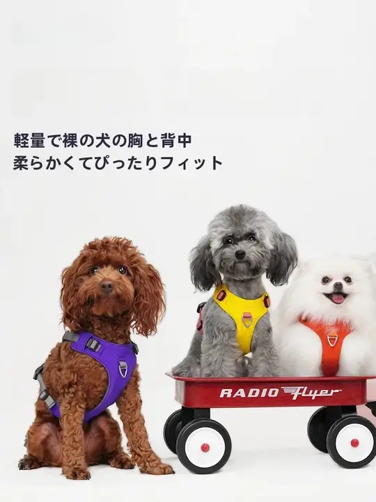犬用ハーネス リード 小型犬 中型犬 軽量 快適 通気性 ベストタイプ コーギー トイプードル 「BeauGo」