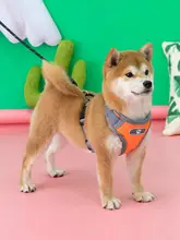 犬用ハーネスリード【中型犬対応・柴犬・胸部固定式・ペット用】