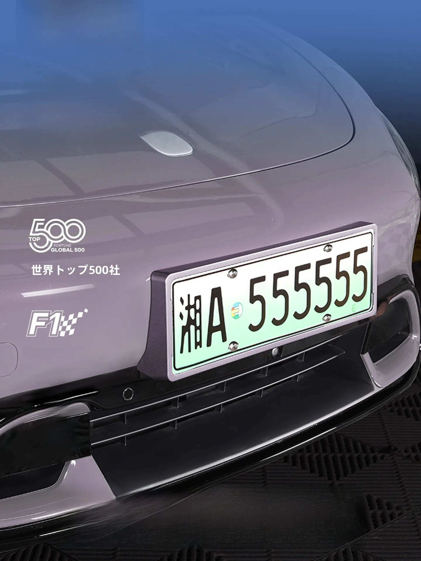 GOOD YEAR グロスブラック カーボンファイバー ナンバープレートフレーム：図柄入りナンバープレートの人気モデルとしての実績と設計