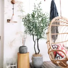 大きなオリーブツリーのフェイクグリーン【カフェやショップのディスプレイ用・北欧スタイル】