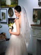 カラフルな蝶モチーフのショートウェディングドレス【フォトプロップス用・花嫁用・ウエディングベール付き】