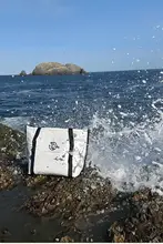 釣り用ソフトクーラー バッグ【保温・海釣り用・持ち運び便利】