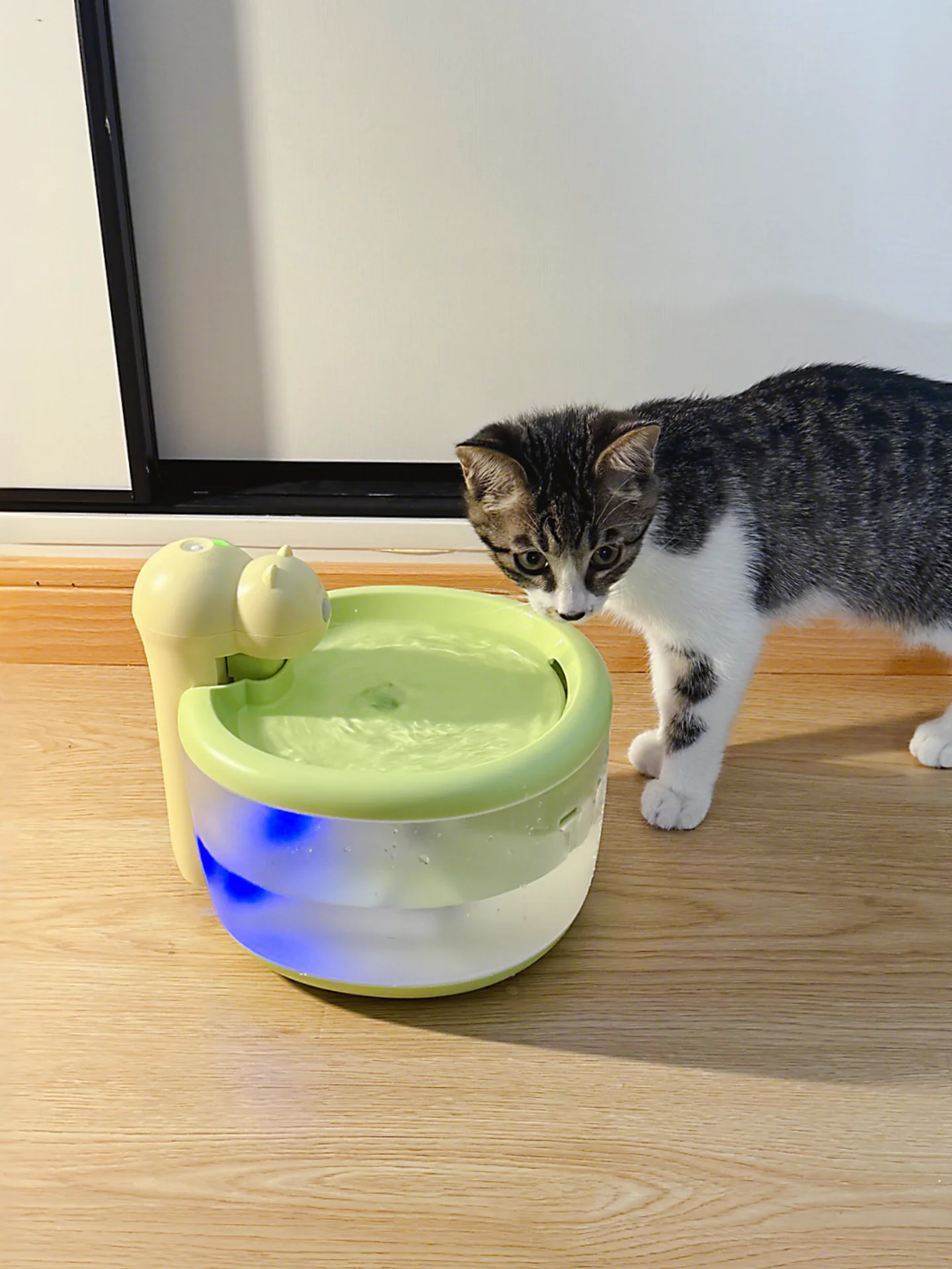 自動循環式猫用給水器：24時間恒温加熱とフィルター付きの実用性解析