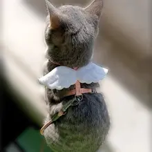 かわいい翼デザインの猫用ハーネス【脱走防止・小猫用・散歩用】