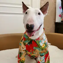 ハワイアン美女プリントのペットシャツ【薄手・犬猫用・ボストンテリア・アメリカンブルドッグ対応】