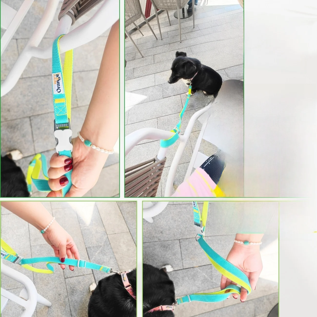 犬のお散歩グッズをコスパ良く揃える方法｜手を放すリーシュ機能で不安を解消