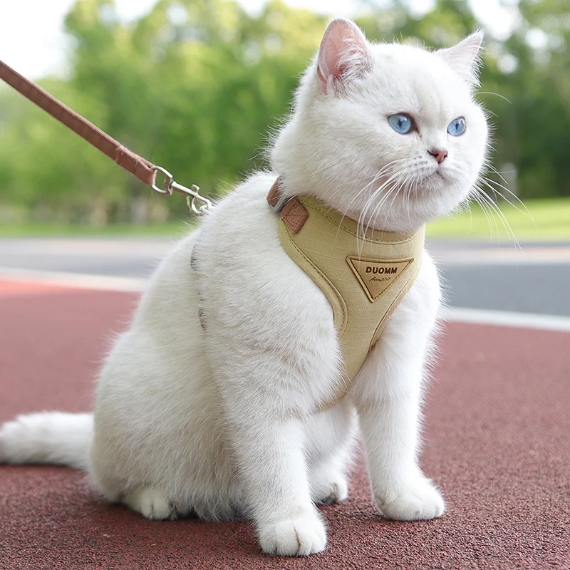 猫飼いが買ってよかったもの・悪かったもの正直に言う：ネコ用背中ハーネス型リードの実用性と選定基準
