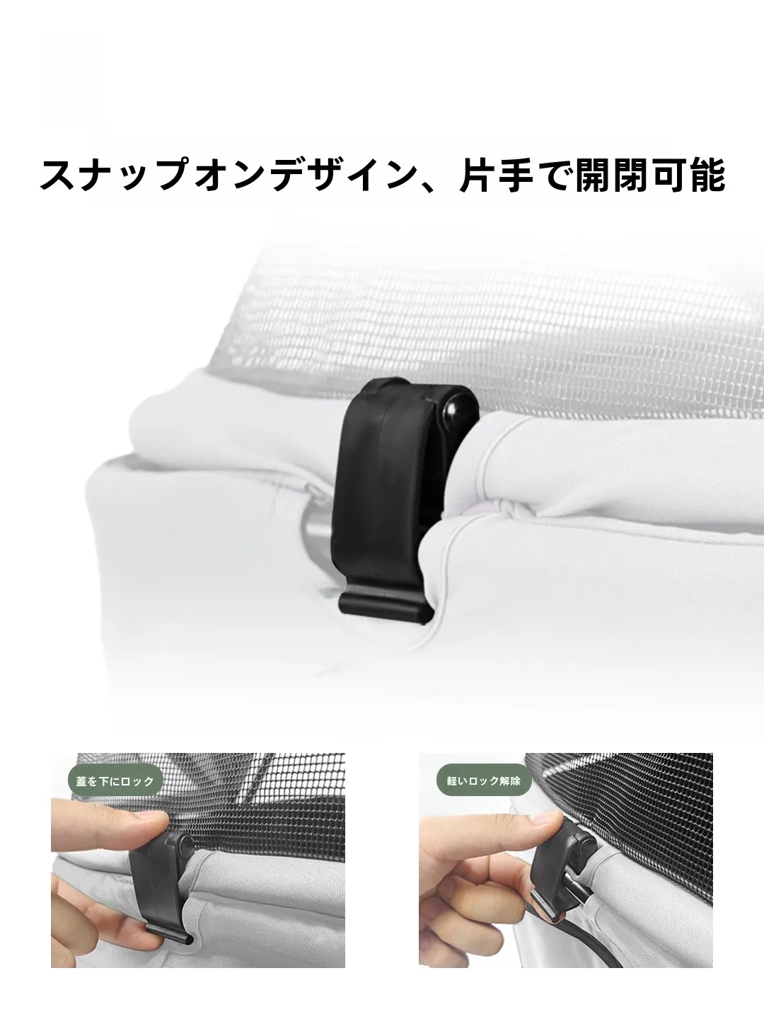 犬のお散歩グッズをコスパ良く揃える方法　実測ガイド