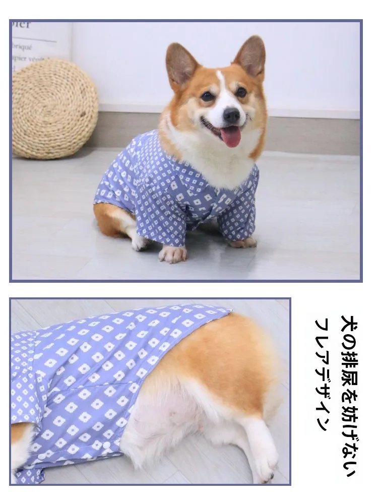 かるキャンで犬と一緒に過ごす「心の癒し」は、どんなアイテムが鍵を握っているの？