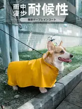 ペット用雨具【透明・小型犬向け・夏季用・テディ・柴犬・コーギー対応】