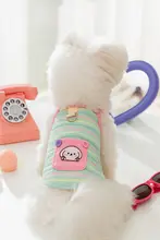 カラフルストライプの小型犬用ハーネス【春夏用・かわいいデザイン】