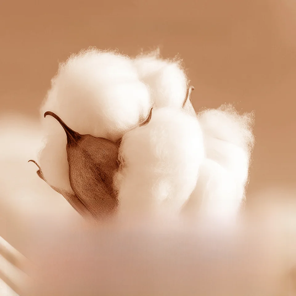 コットン製の起毛厚手4点セット シーツ カバー ベッドカバー 保温