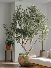 オリーブ 造木 鉢植え 北欧風 大型 組み立て式 グリーン 屋内 店舗 ショーウィンドウ インテリア