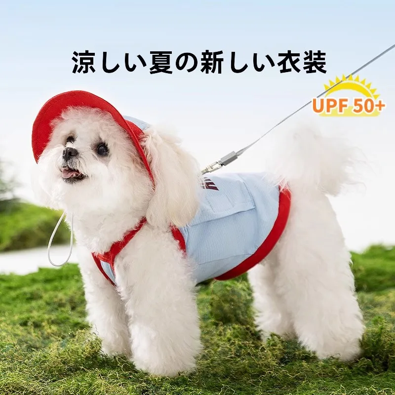 梅雨に備えて買うべき！和風陶器調味料皿と冷却ベストの完全ガイド