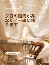 レースカーテン フレンチ風 金糸 上品 目隠し 透け感 寝室 リビング