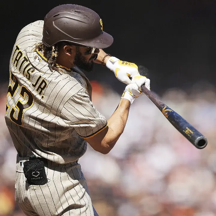 Fernando Tatisモデル 野球バット【プロリザーブシリーズ】