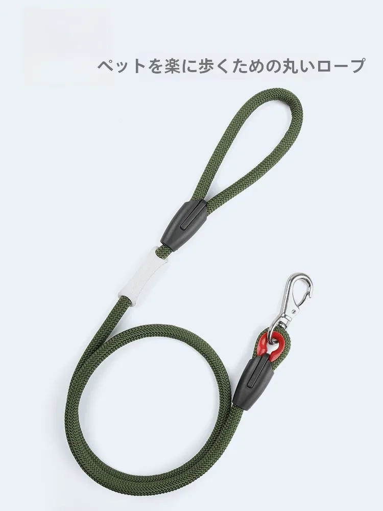 犬のお散歩グッズをコスパ良く揃える方法　完全ガイド