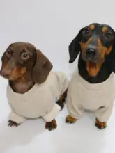 春秋用ペットウェア【薄手・ラウンドネック・犬用・小型犬対応】