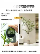 バイオミミクリ 植物 装飾オーナメント インドア ラグジュアリー 材料