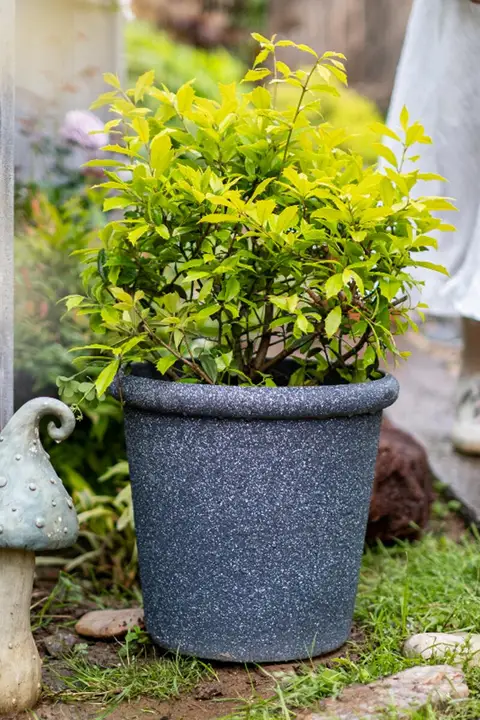 植木鉢 大型 室内外に適した エコプラスチック/レジン/擬似陶器