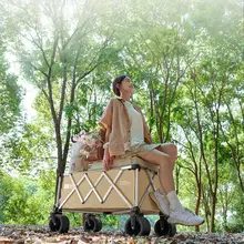 TAN XIAN ZHE アルミ合金製アウトドア折りたたみピクニックカート【大容量・キャンプ用・ハンドル付き】