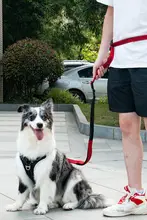 犬用多機能ウエスト牽引ロープ【大型犬用・手を解放する設計・ランニング対応】