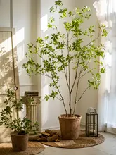 リアルな人工植物 マツザキの大きな鉢植え【インテリア装飾・リビング用・フロアタイプ】