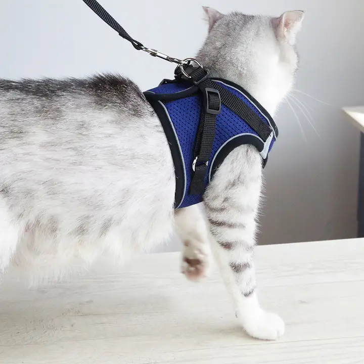 猫の脱走防止 リーシュ