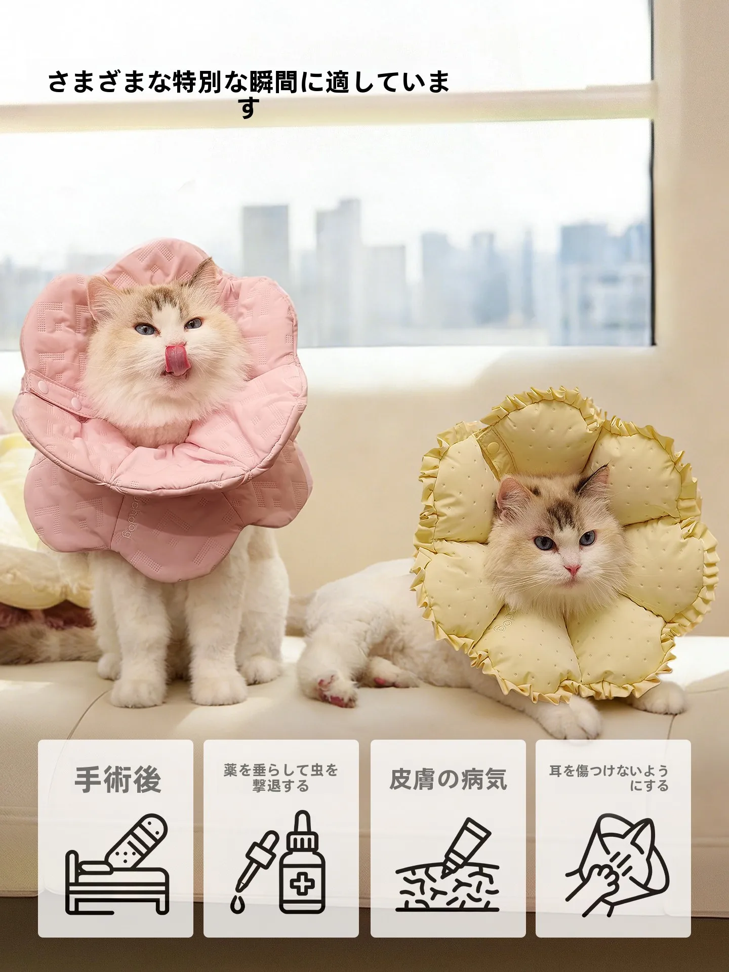 防災時にも安心できる、犬や猫に使えるエリザベスカラーはどれがおすすめ？