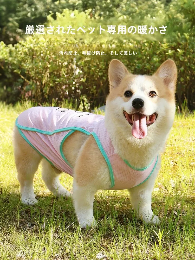 犬用夏用防紫外線ベスト：通気性と抜け毛防止の実用性を検証