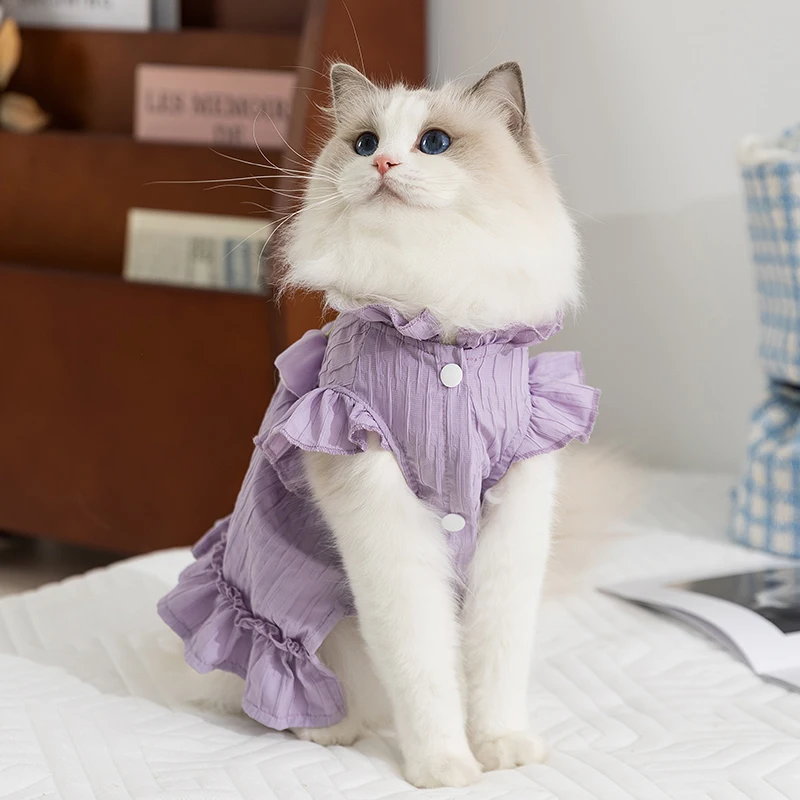 猫dollとは何か？実際の使い方や選び方を解説する、今人気のペット服の真実
