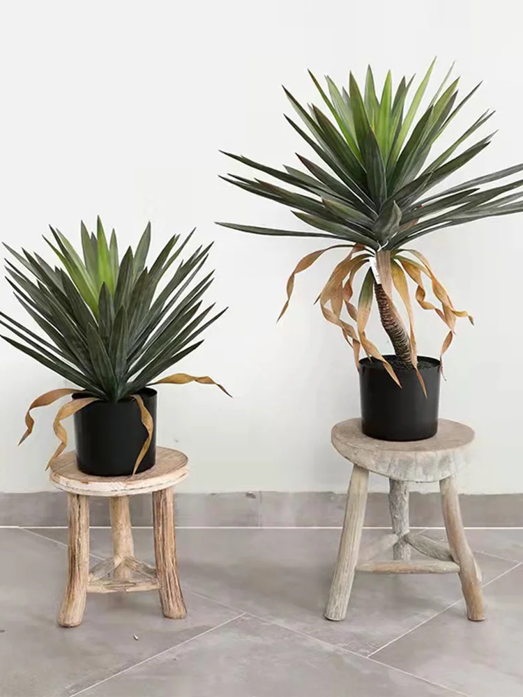 リアルな観葉植物のドラセナ鉢植え：トロピカルデザインで部屋やベランダに設置する最適な選択