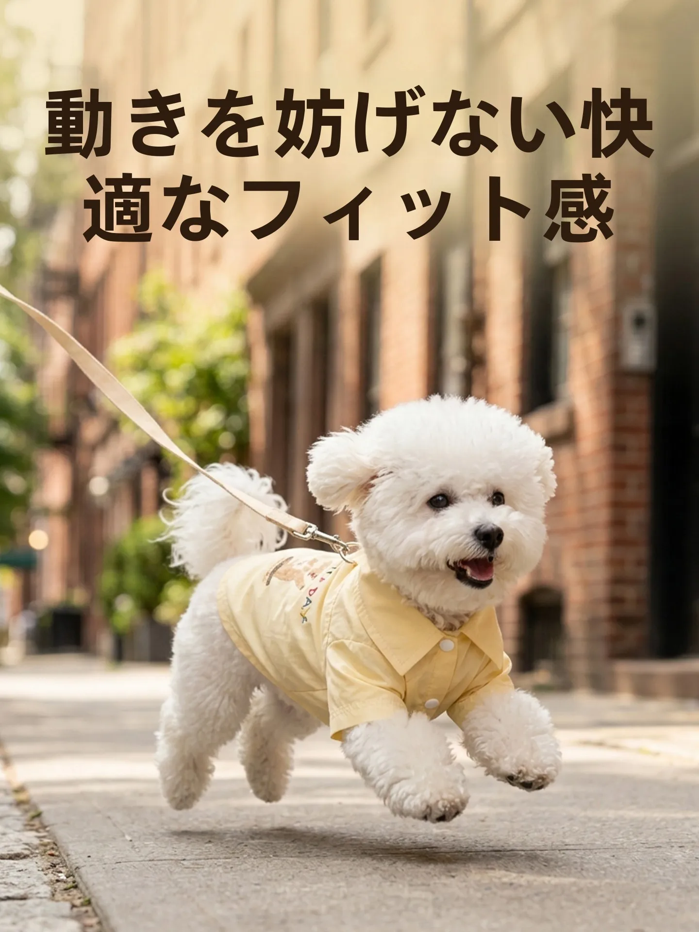トイプードル用おしゃれシャツ ブランド hipidog の実用性とサイズ選びのガイド
