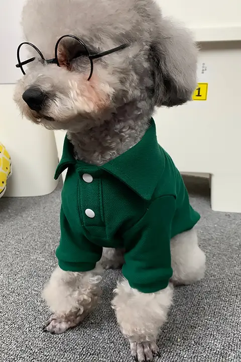 ペット用 夏用ポロシャツ【純綿・通気性・小型犬・猫用】