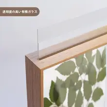 植物標本フレーム【DIY・アクリル製・両面透明・木製・押し花用】