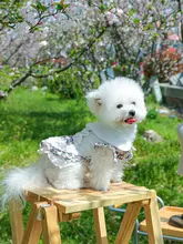 犬用ドレス【パーティー・可愛い公主デザイン・小型犬用】
