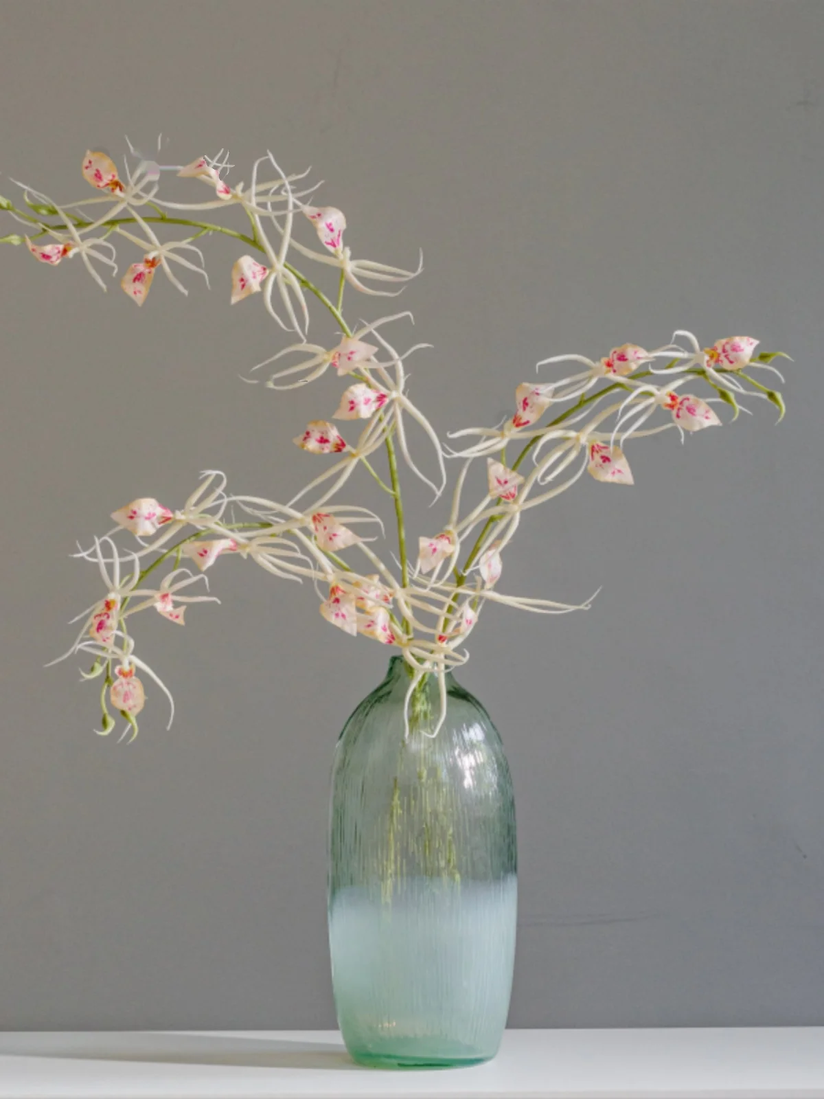 千鳥蘭をどう選ぶ？庭に植えるハエトリグサと比べて、造花の魅力はどこにあるのか