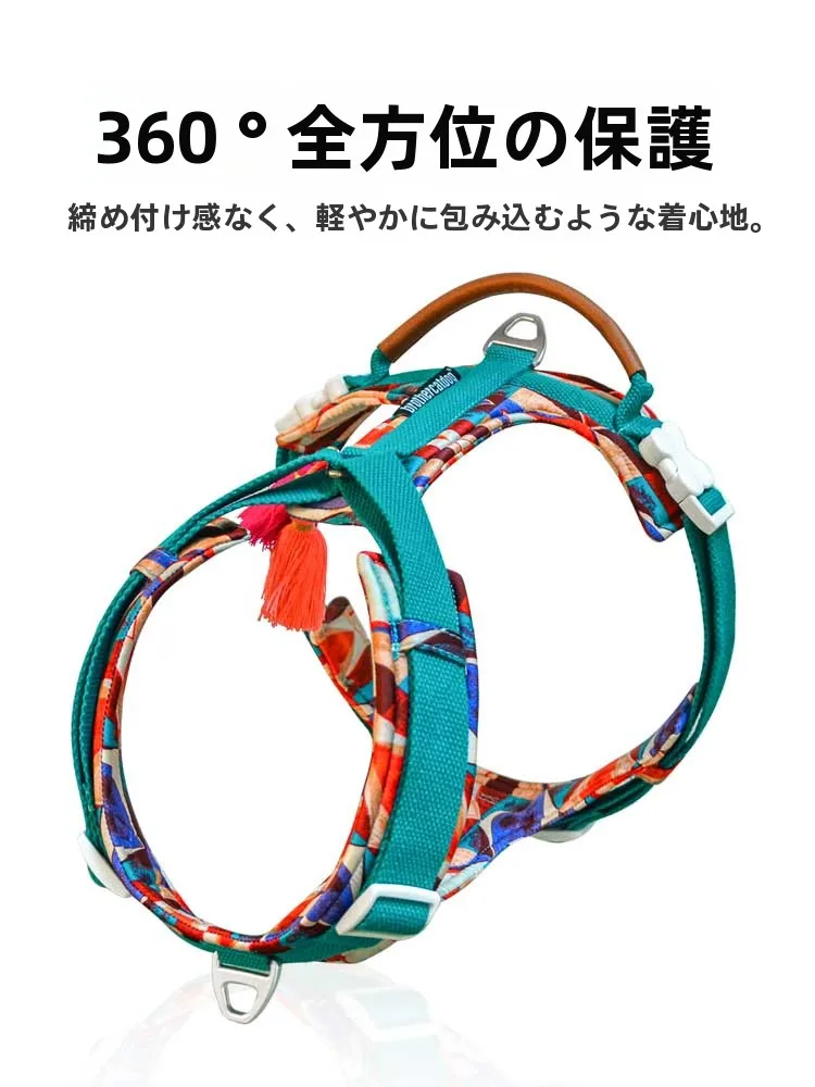 犬のお散歩グッズをコスパ良く揃える方法｜通気性とデザインのバランスを徹底解説