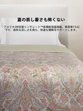 新雪丽繊維の夏用掛け布団【洗濯機可・エアコン用・涼感】