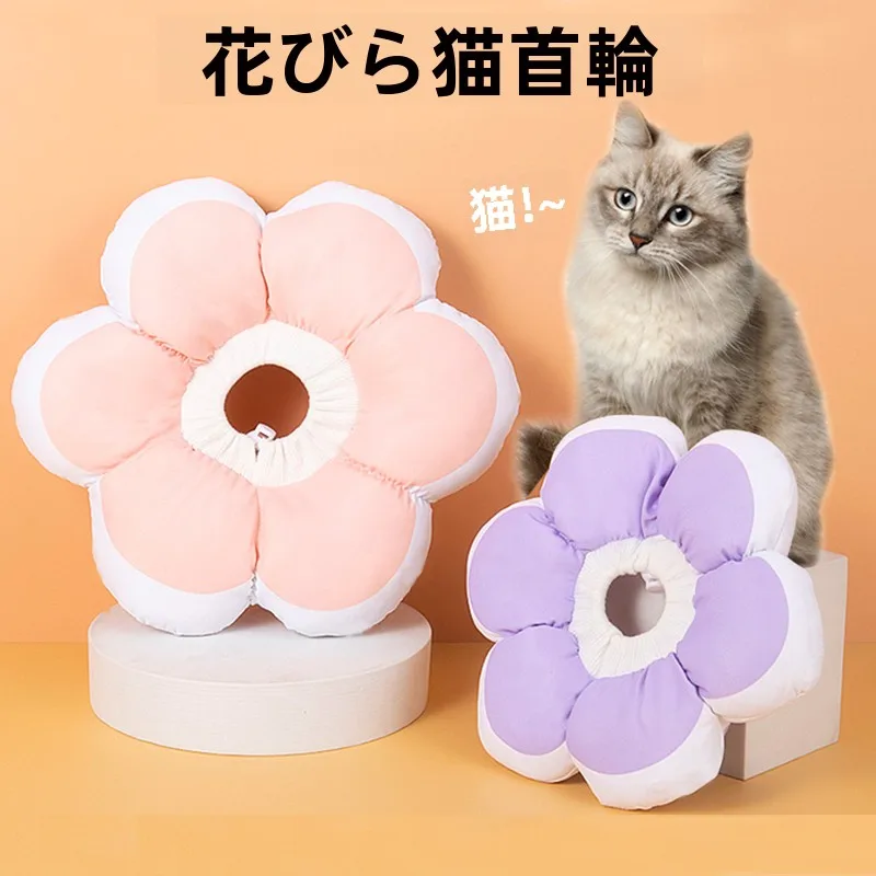 おしゃれな猫の首輪を選ぶには？デザインと機能のバランスが鍵